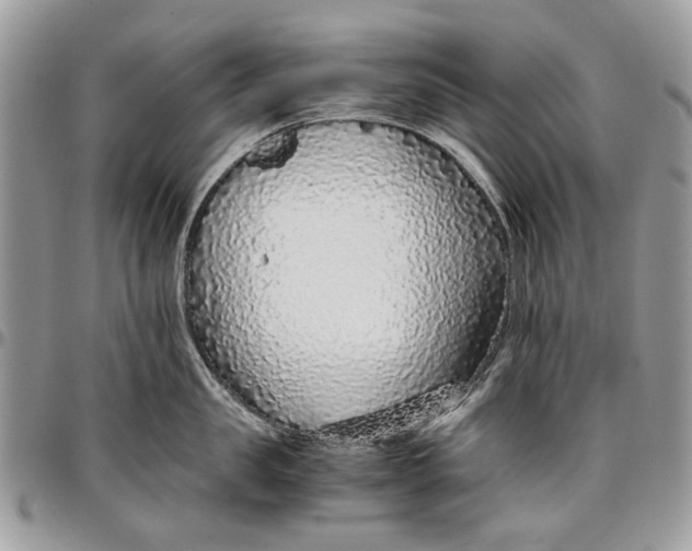 X0000096420957200802141631