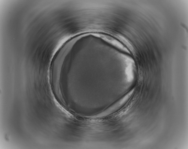 X0000096420958200802141631