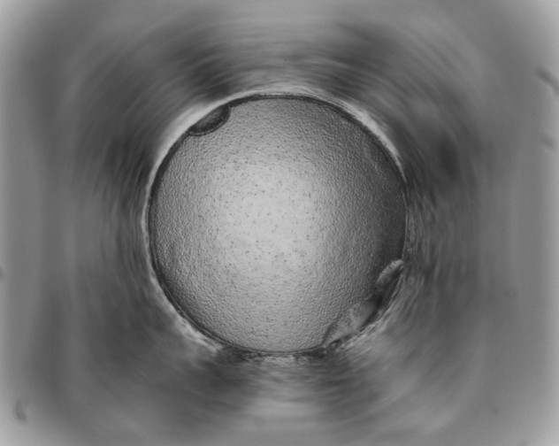 X0000096420959200802141631