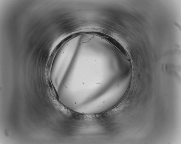 X0000096420960200802141631