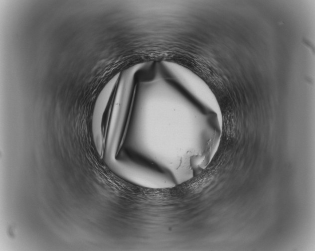 X0000096420962200802141630