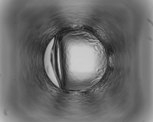 X0000096420963200802141630