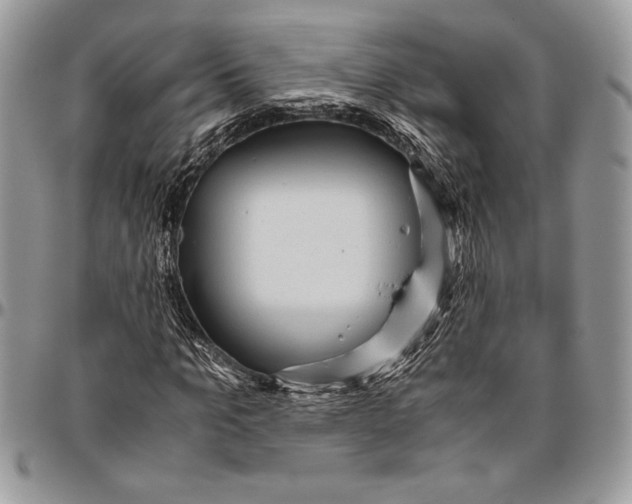 X0000096420965200802141630