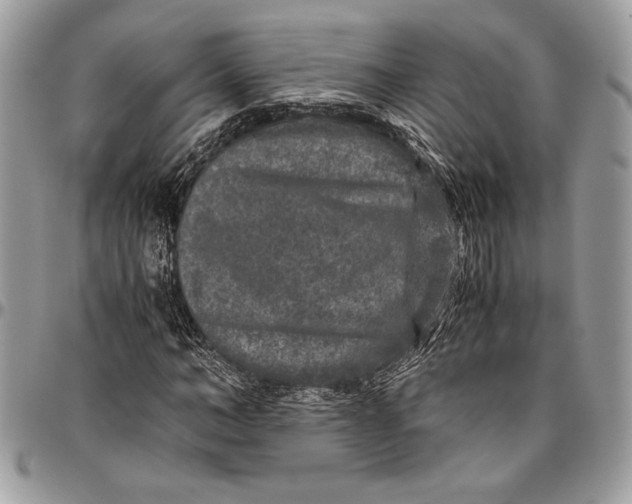 X0000096420966200802141630