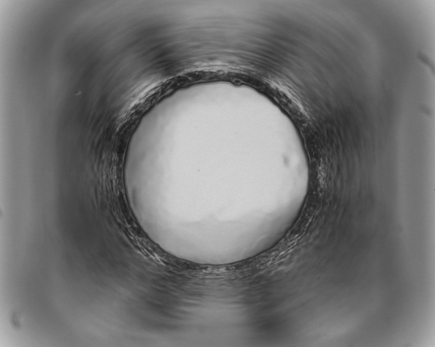 X0000096420968200802141630