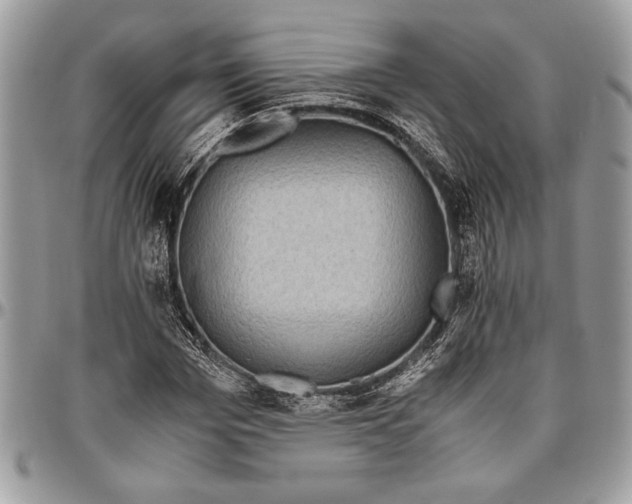 X0000096420969200802141630