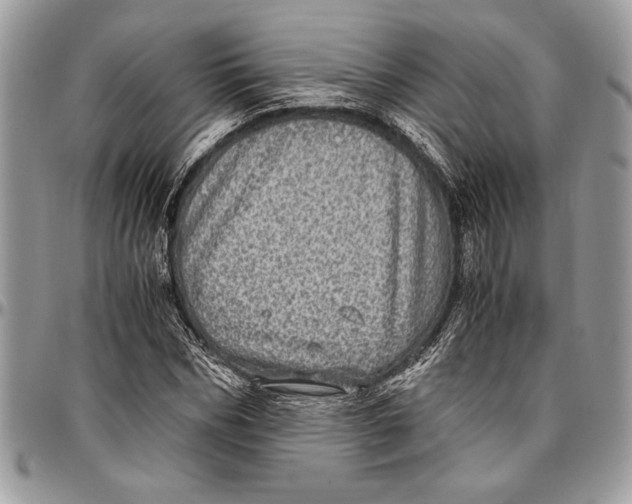 X0000096420970200802141630