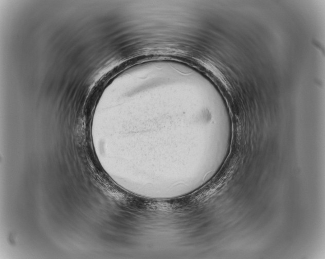 X0000096420971200802141630