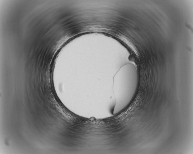 X0000096420972200802141630