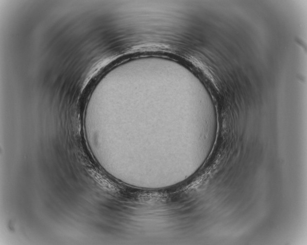 X0000096420973200802141630