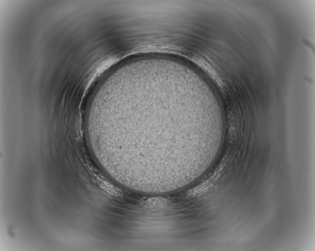 X0000096420974200802141630