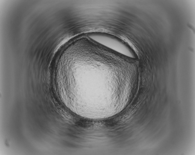 X0000096420975200802141630