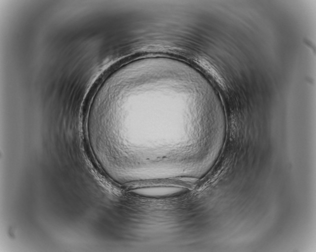 X0000096420976200802141630