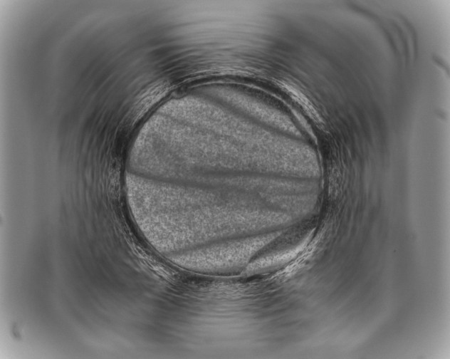 X0000096420977200802141630