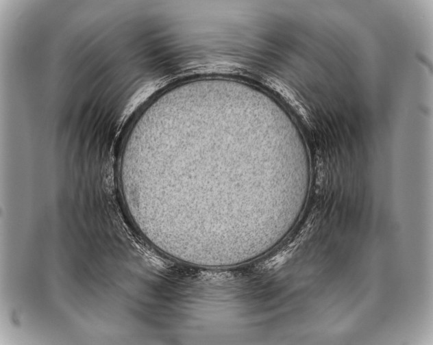 X0000096420978200802141630