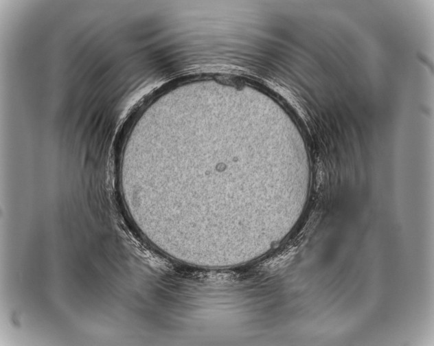 X0000096420979200802141630