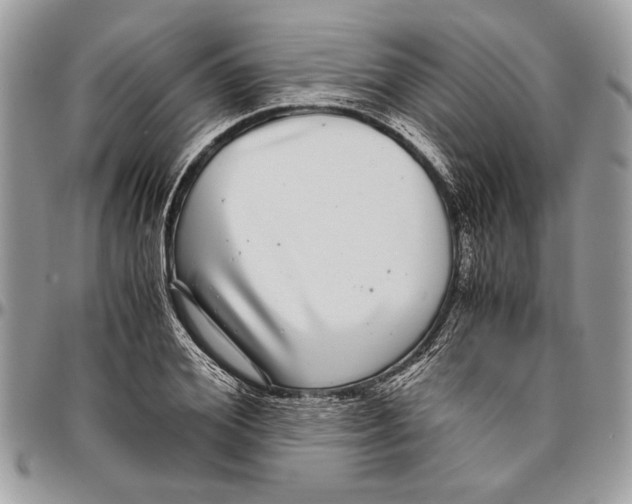 X0000096420980200802141630