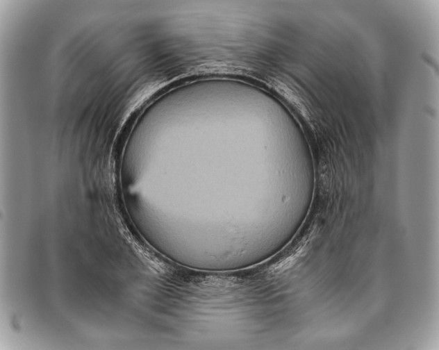 X0000096420981200802141630