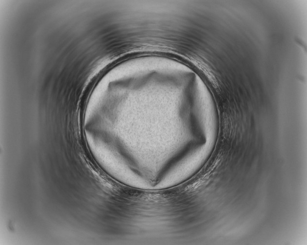 X0000096420982200802141630