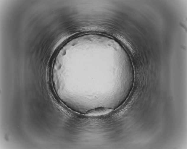 X0000096420983200802141630