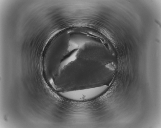 X0000096420984200802141630