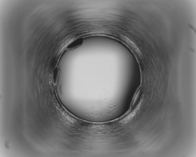 X0000096420985200802141630