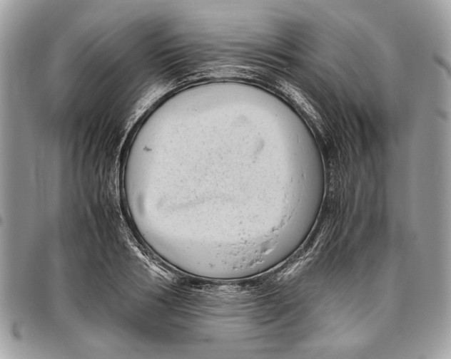 X0000096420986200802141630