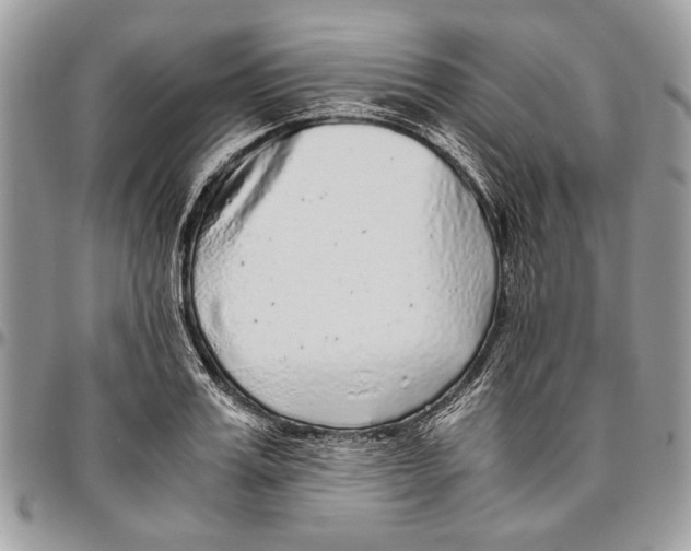 X0000096420987200802141630