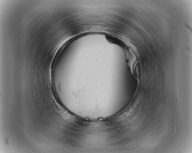 X0000096420988200802141630