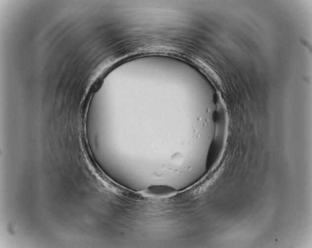 X0000096420989200802141630