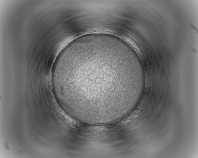 X0000096420990200802141630