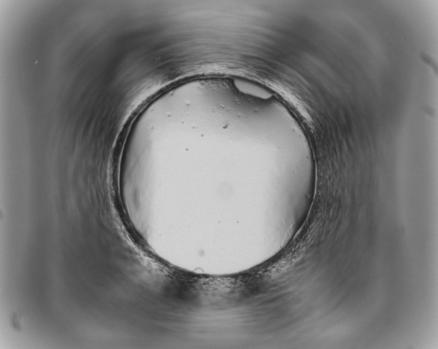 X0000096420991200802141630