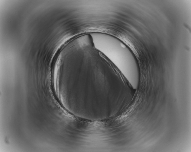 X0000096420992200802141630