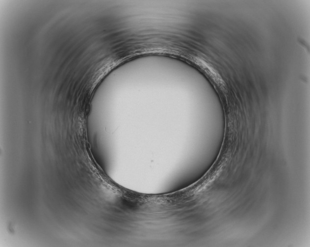 X0000096420993200802141630