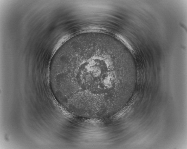 X0000096420994200802141630