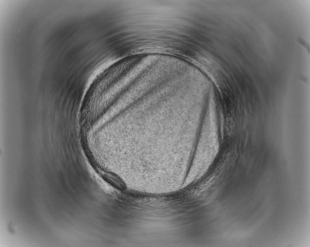 X0000096420995200802141630