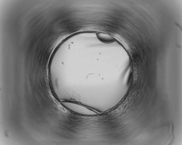 X0000096420996200802141630