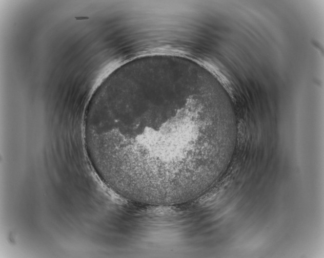 X0000096420998200802141630