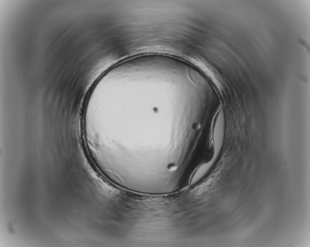 X0000096420999200802141630