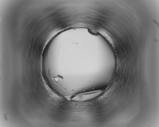 X0000096421000200802141630