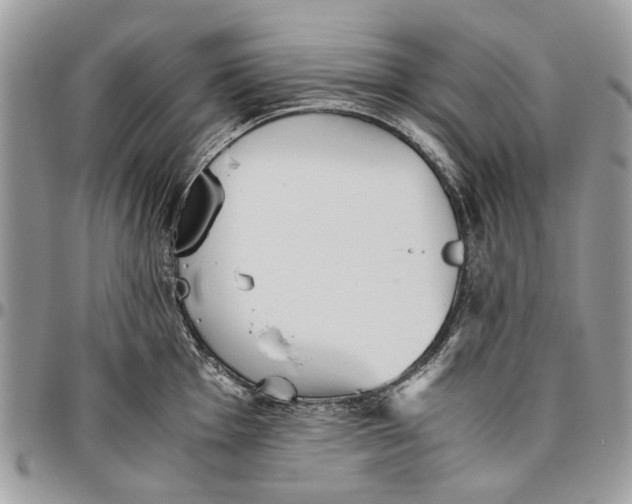 X0000096421001200802141630