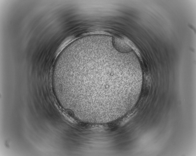 X0000096421002200802141630