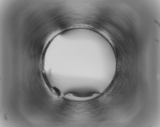 X0000096421003200802141629