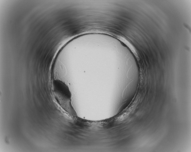 X0000096421004200802141629