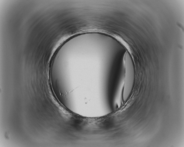 X0000096421005200802141629