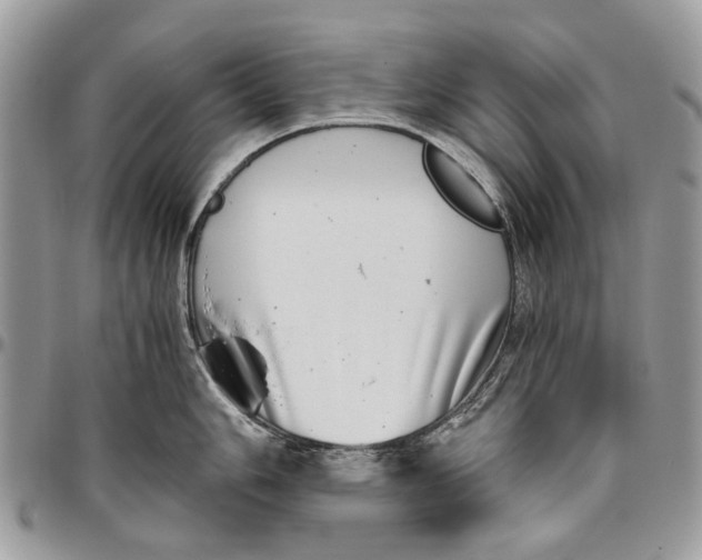 X0000096421006200802141629