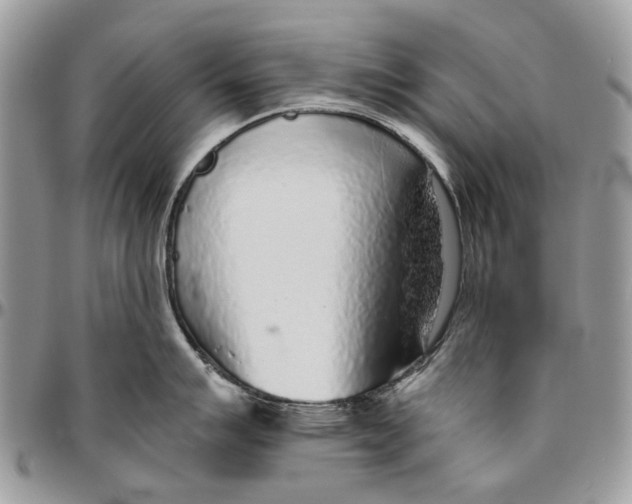 X0000096421007200802141629