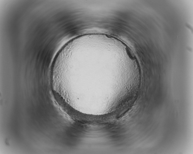 X0000096421008200802141629