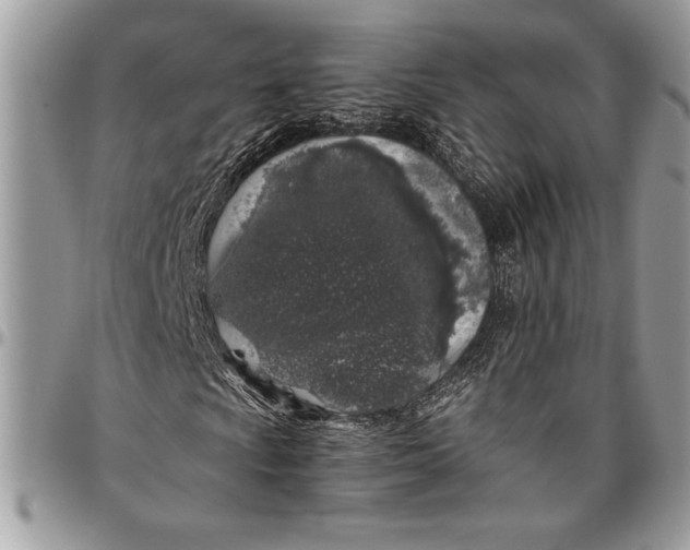 X0000096421009200802141629