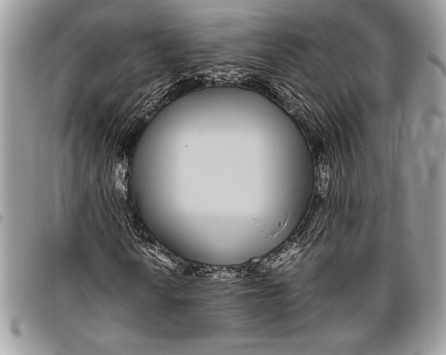 X0000096421010200802141629